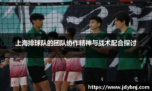 上海排球队的团队协作精神与战术配合探讨